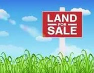 52 Harbour Pointe Drive, Williamstown, KY 41097