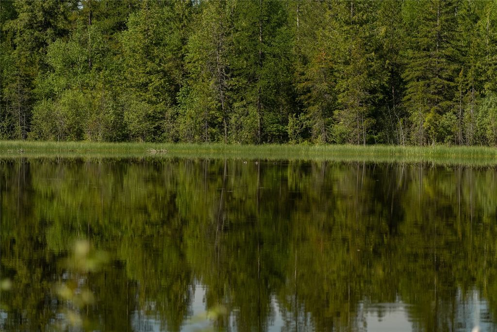 2280 North Fork Road, Columbia Falls, MT 59912 photo 45