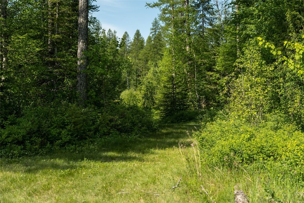 2280 North Fork Road, Columbia Falls, MT 59912 photo 47