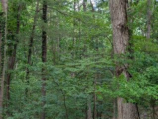 0 Bousman CIR, Hardy, VA 24101