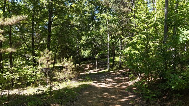 0 Greenbriar Road, Waverly, TN 37185