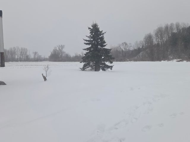 13774 S Maple Island Road, Twin Lake, MI 49457