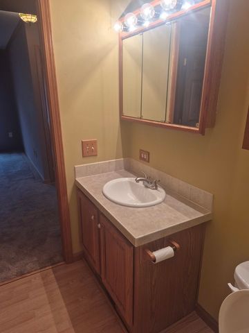 10864 La Costa Lane, Frankfort, IL 60423