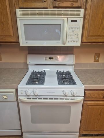 10864 La Costa Lane, Frankfort, IL 60423