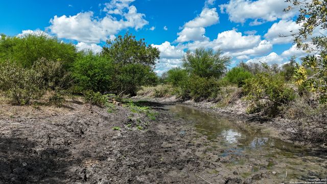 4444 FM 1339, Kingsbury, TX 78638