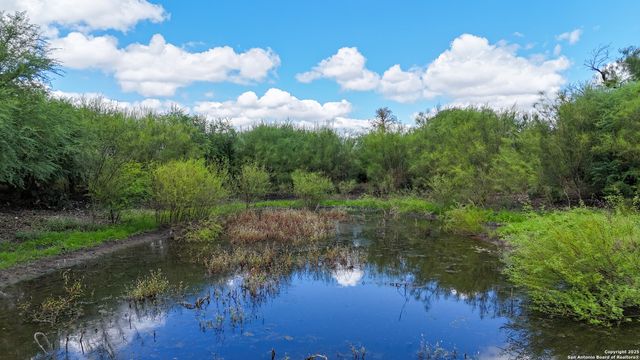4444 FM 1339, Kingsbury, TX 78638