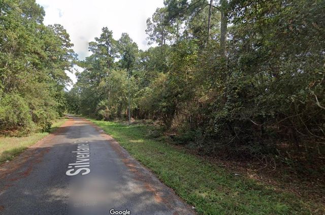 3362 Silverline Drive, Houston, TX 77338