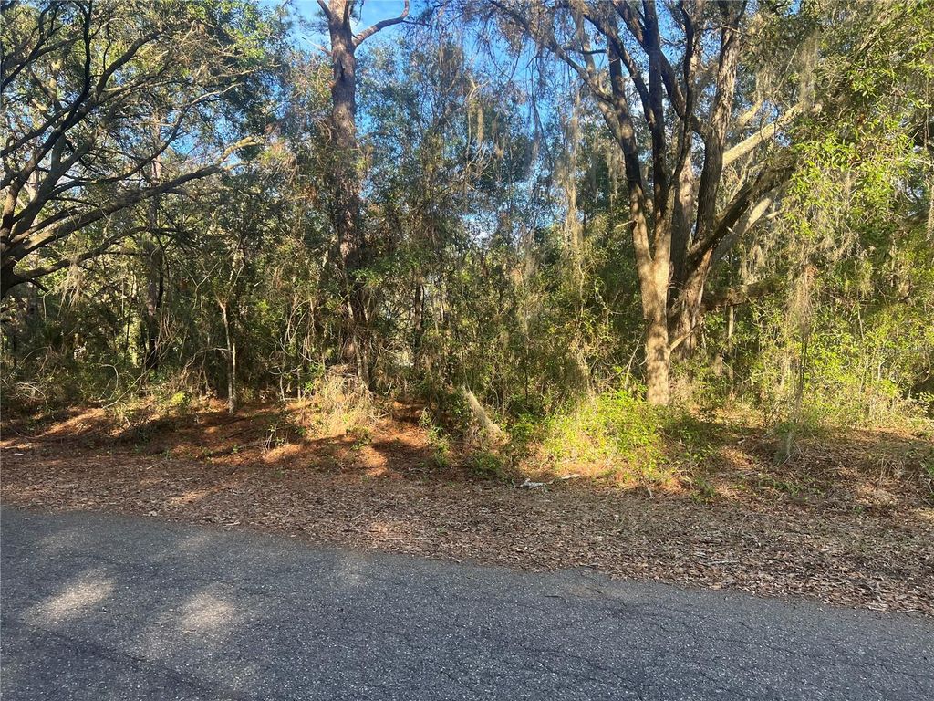 GUAVA TERRACE, Ocklawaha, FL 32179