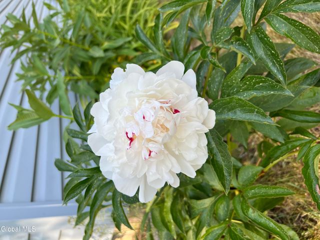 41 Glenwood Avenue, Queensbury, NY 12804