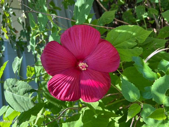 41 Glenwood Avenue, Queensbury, NY 12804