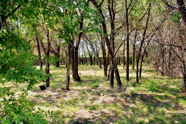 4902 Village Drive, Rio Vista, TX 76093