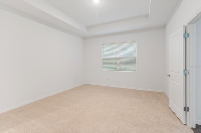 31365 PAPER BIRCH STREET, Wesley Chapel, FL 33545