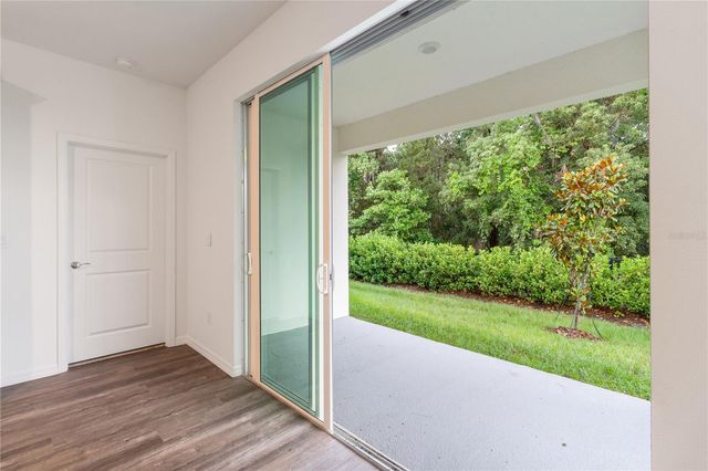 31365 PAPER BIRCH STREET, Wesley Chapel, FL 33545