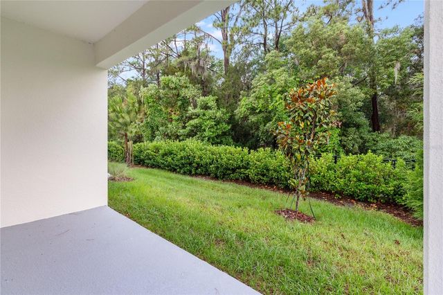 31365 PAPER BIRCH STREET, Wesley Chapel, FL 33545