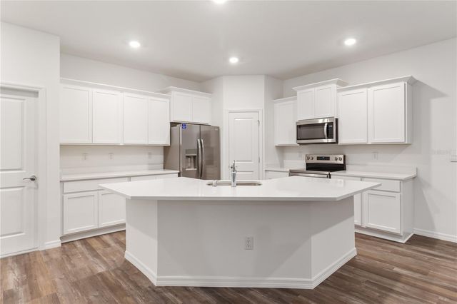 31365 PAPER BIRCH STREET, Wesley Chapel, FL 33545