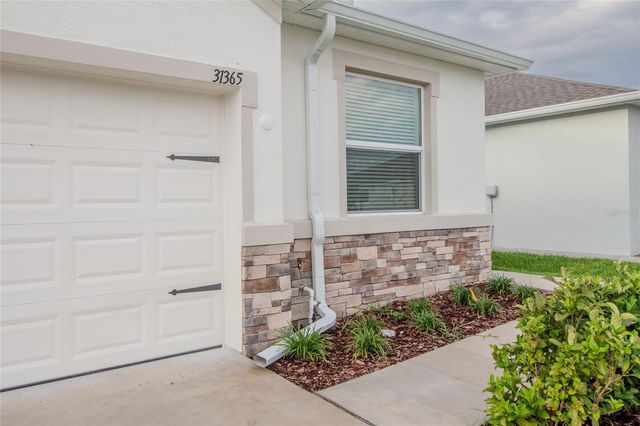 31365 PAPER BIRCH STREET, Wesley Chapel, FL 33545