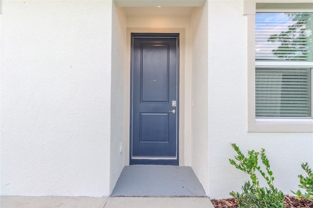 31365 PAPER BIRCH STREET, Wesley Chapel, FL 33545