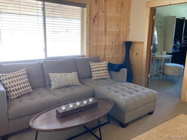 13999 County Road 162, Nathrop, CO 81236