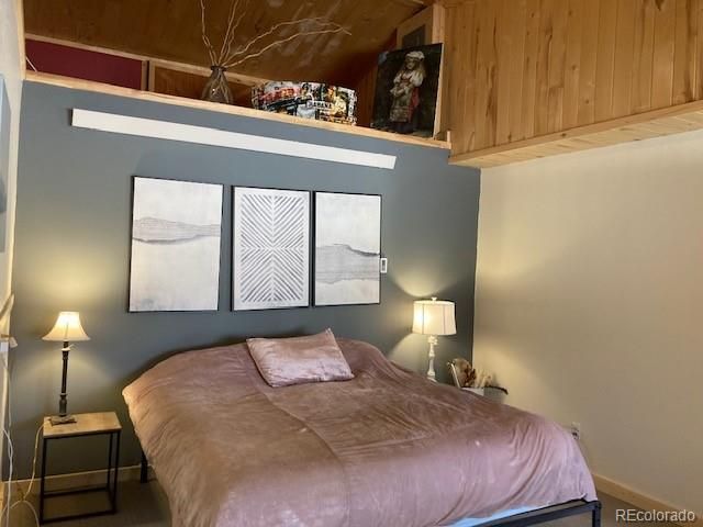 13999 County Road 162, Nathrop, CO 81236