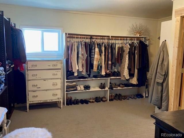 13999 County Road 162, Nathrop, CO 81236