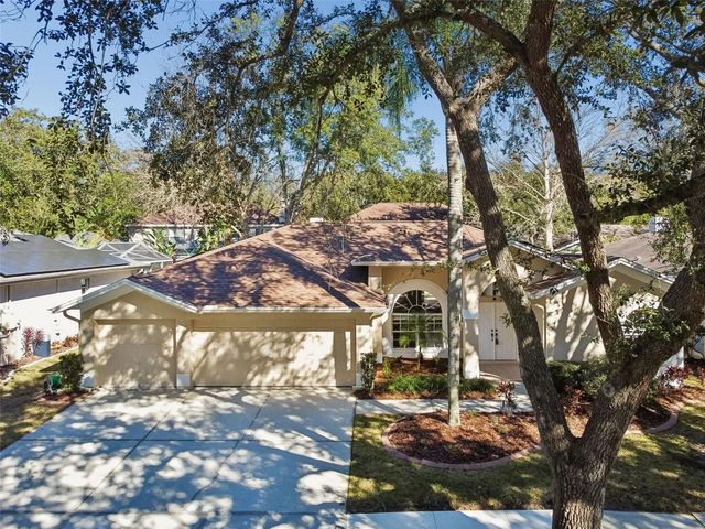 9334 HAMPSHIRE PARK DRIVE, Tampa, FL 33647