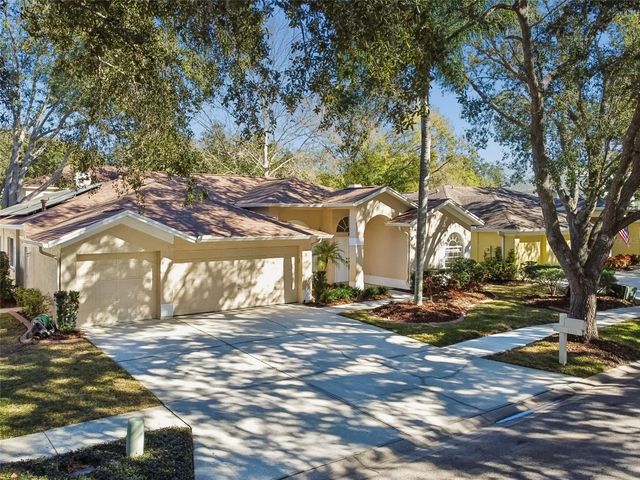 9334 HAMPSHIRE PARK DRIVE, Tampa, FL 33647