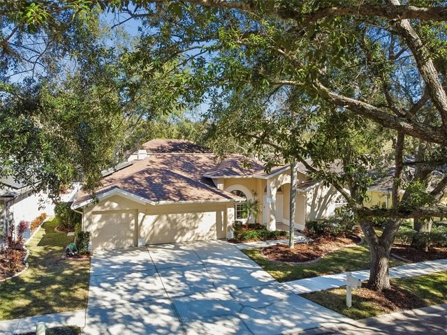 9334 HAMPSHIRE PARK DRIVE, Tampa, FL 33647