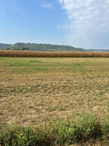 1512 River Drive S, Wabasha, MN 55981