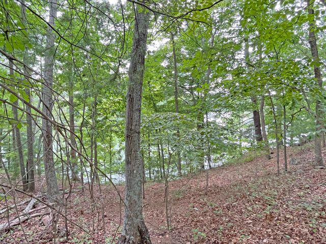 New Lot 3 Hidden Grove CT, Goodview, VA 24095