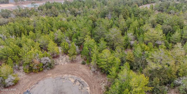 0000 Tassel Court, Chipley, FL 32428