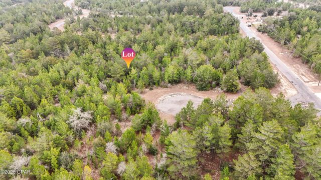 0000 Tassel Court, Chipley, FL 32428