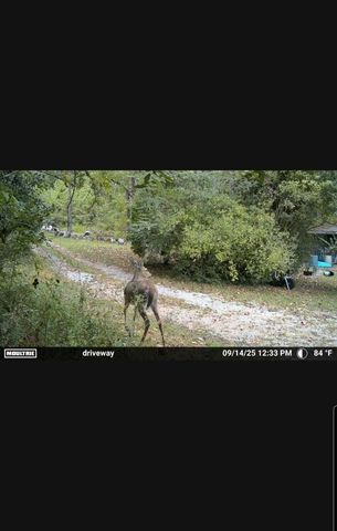 1150 Bell Hollow Rd, Vanleer, TN 37181