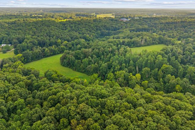 1150 Bell Hollow Rd, Vanleer, TN 37181