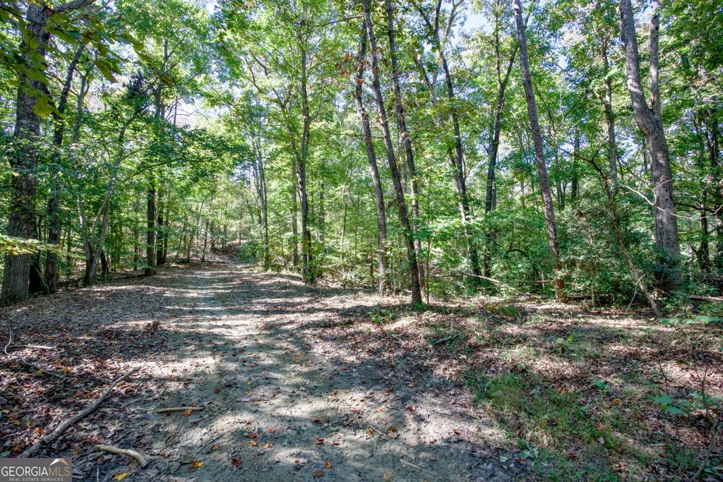 16 AC Soapstone Road, Baldwin, GA 30511 — exterior