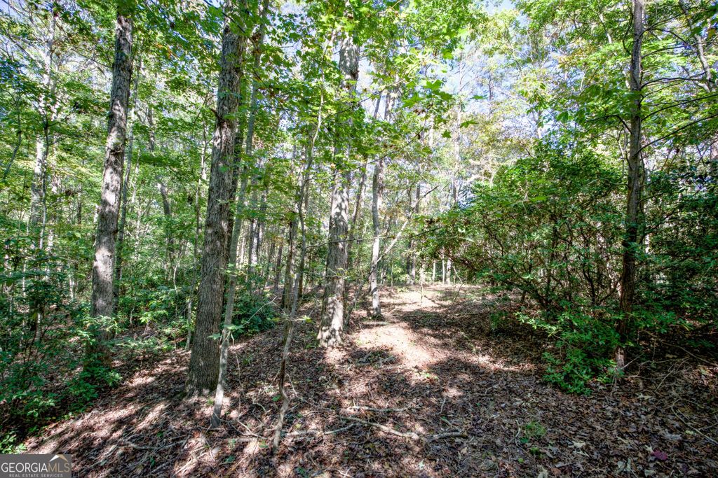 16 AC Soapstone Road, Baldwin, GA 30511 — photo 2