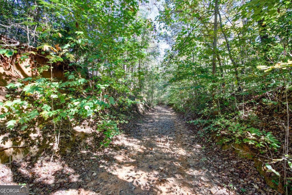 16 AC Soapstone Road, Baldwin, GA 30511 — photo 3