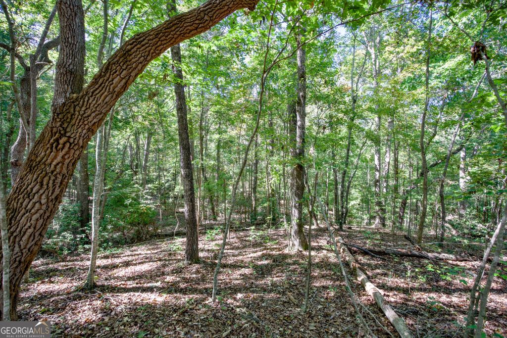 16 AC Soapstone Road, Baldwin, GA 30511 — photo 4