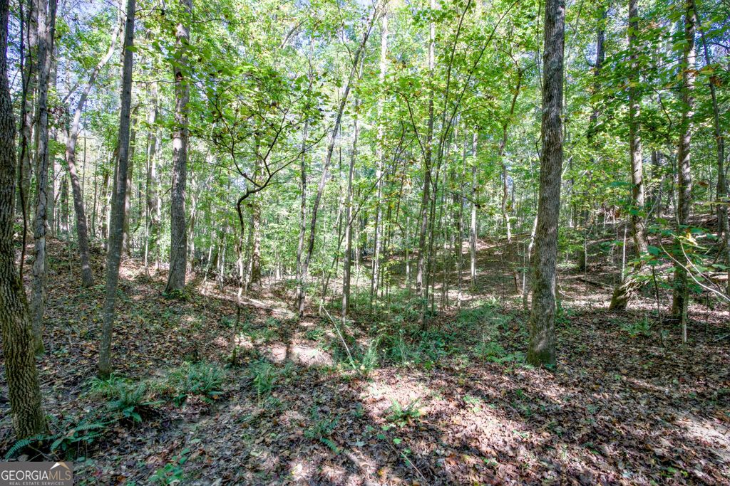 16 AC Soapstone Road, Baldwin, GA 30511 — photo 5
