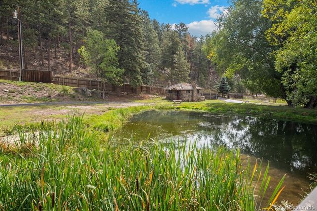 1733 Swede Gulch Road, Evergreen, CO 80439