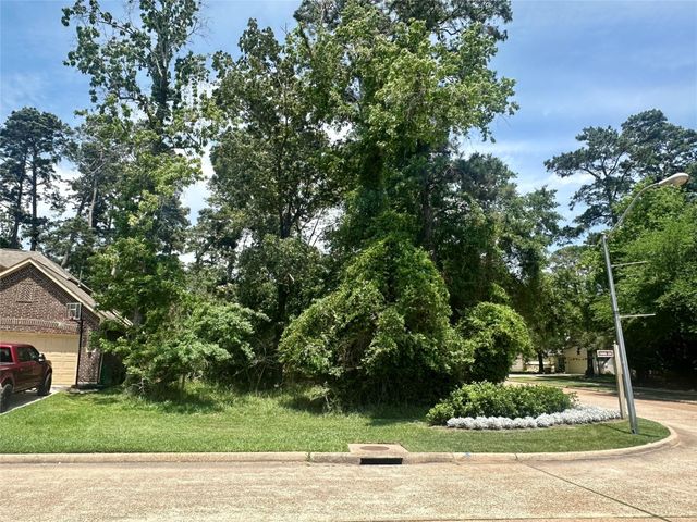 11302 Twain Drive, Montgomery, TX 77356
