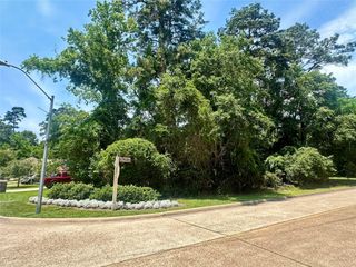 11302 Twain Drive, Montgomery, TX 77356