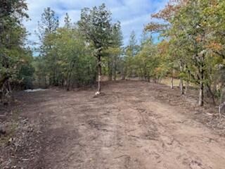 Merlin Sanitarium Road Lot #5, Merlin, OR 97532