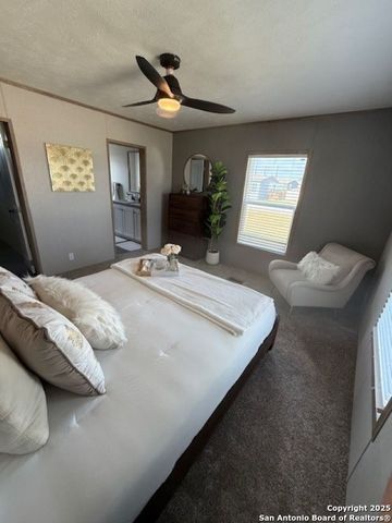 15966 Flores Curve, San Antonio, TX 78221