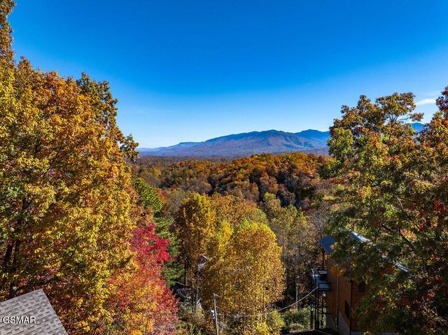 1106 Tanrac Trail, Gatlinburg, TN 37738