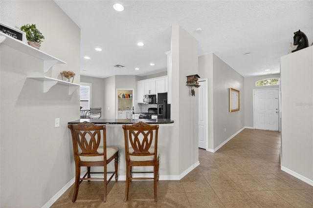 211 WESTCHESTER HILLS LANE, Valrico, FL 33594