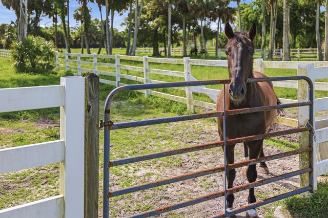 14095 BIDDEX Road, Loxahatchee, FL 33470