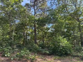 35 Sterling Rd, Harwich, MA 02645