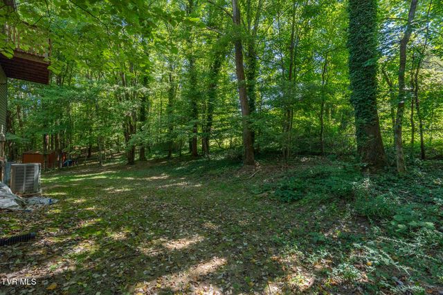 4 Monteray Court, Johnson City, TN 37604