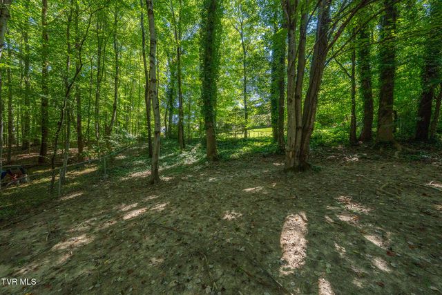 4 Monteray Court, Johnson City, TN 37604