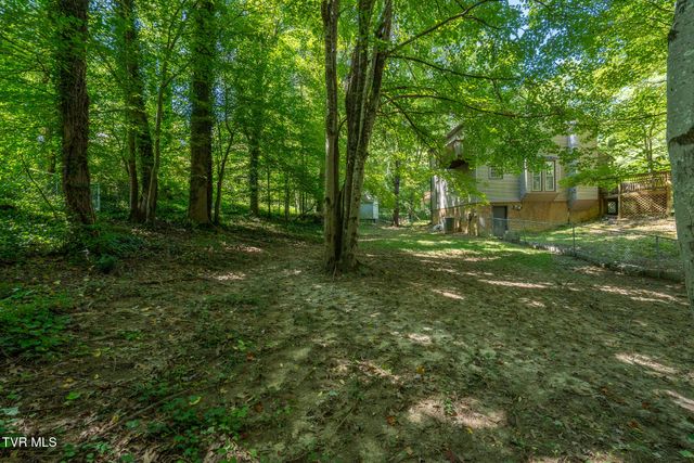 4 Monteray Court, Johnson City, TN 37604